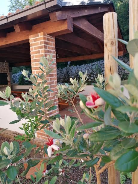 Amazing 4 Bedroom Villa With Swimming Pool And Wifi, Family Frendly Tribalj  Exteriér fotografie